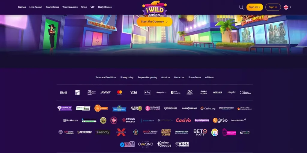 iWild Casino betalningsmetoder