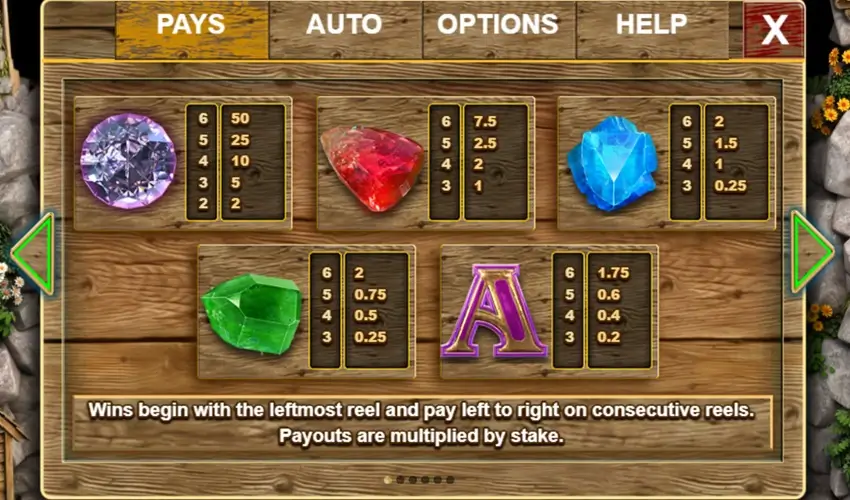 Bonanza slot